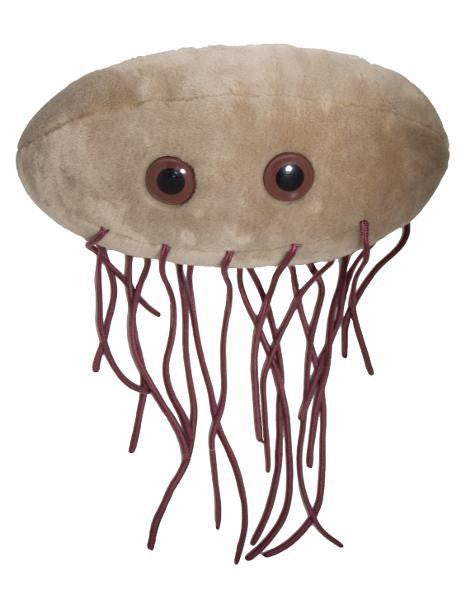 Giant microbes e coli hotsell