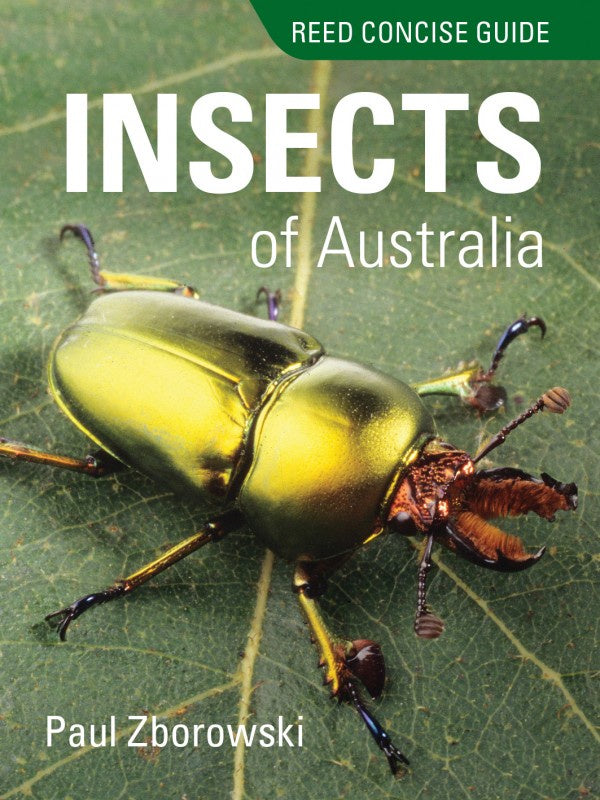 REED CONCISE GUIDE INSECTS OF AUSTRALIA
