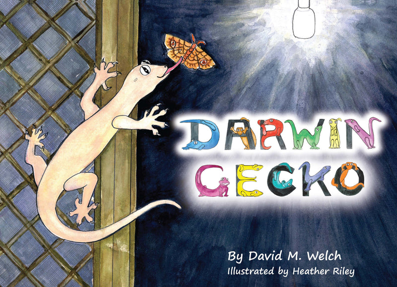 DARWIN GECKO