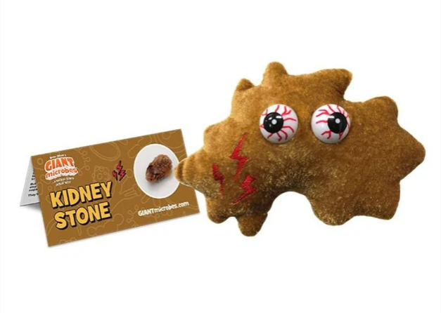 KIDNEY STONE GIANT MICROBE
