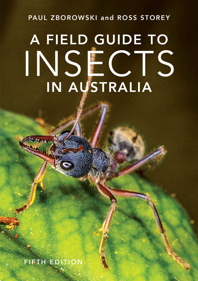 A FIELD GUIDE TO INSECTS OF AUSTRALIA
