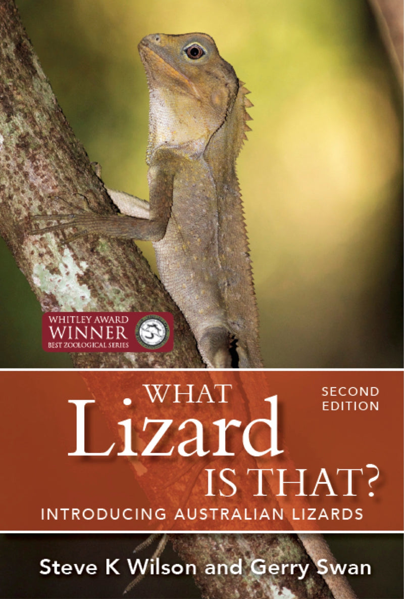 WHAT LIZARD IS THAT?