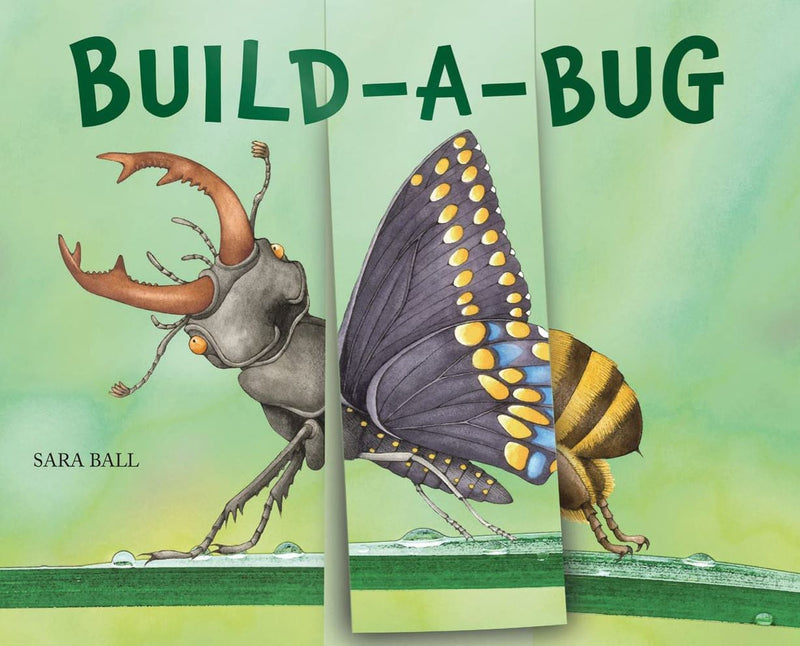 BUILD A BUG