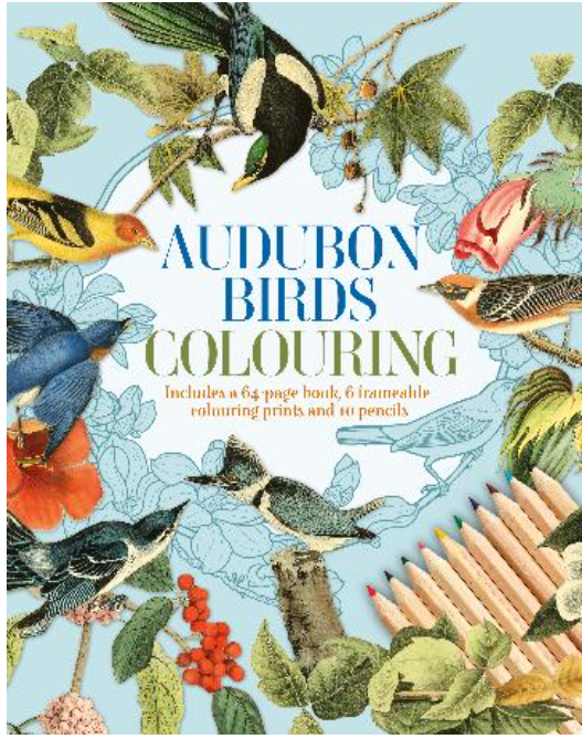 AUDUBON BIRDS COLOURING KIT