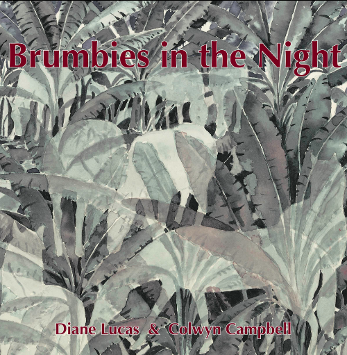 BRUMBIES IN THE NIGHT
