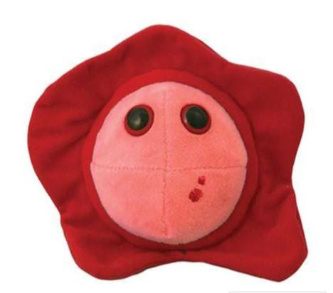 HERPES SIMPLEX 1 (COLD SORE) GIANTMICROBES