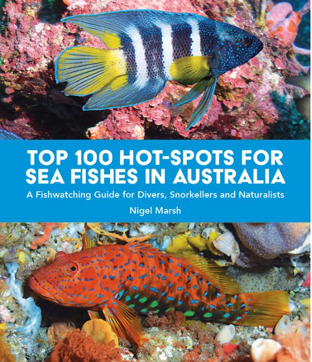 TOP 100 HOT SPOTS FOR SEA FISHES IN AUSTRALIA
