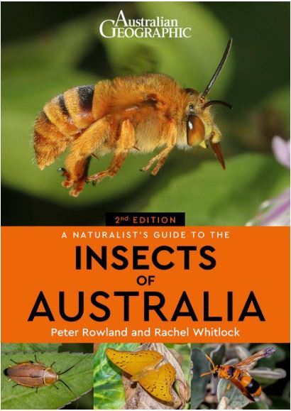 AUSTRALIAN GEOGRAPHIC A NATURALIST&#39;S GUIDE TO THE INSECTS OF AUSTRALIA 2ND EDITION