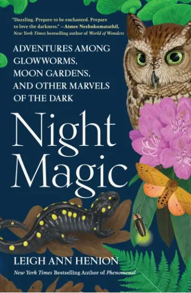 NIGHT MAGIC
