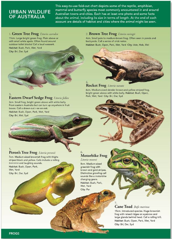 URBAN WILDLIFE OF AUSTRALIA-ID CHART