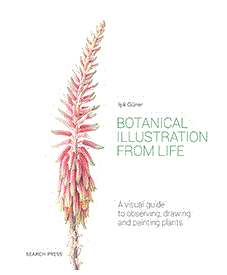 BOTANICAL ILLUSTRATION FROM LIFE