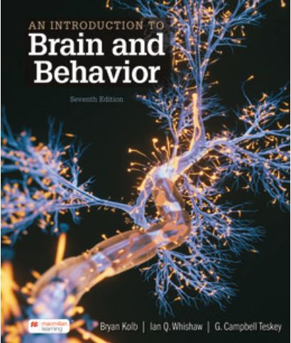 INTRODUCTION TO BRAIN AND BEHAVIOR eBOOK