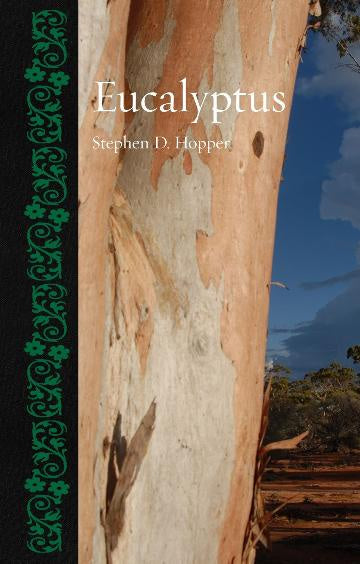 EUCALYPTUS