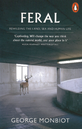 FERAL SEARCHING FOR ENCHANTMENT ON THE FRONTIERS OF REWILDING