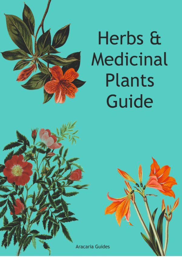 HERB &amp; MEDICINAL PLANTS GROWING GUIDE
