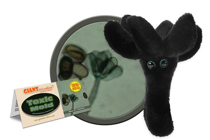 TOXIC MOLD | GIANT MICROBE