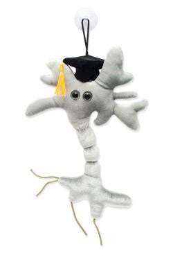 GRADUATION BRAIN GIANT MICROBE - Charles Darwin University Bookshop
