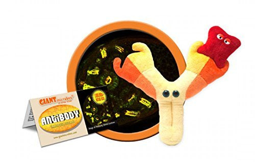 ANTIBODY GIANT MICROBE
