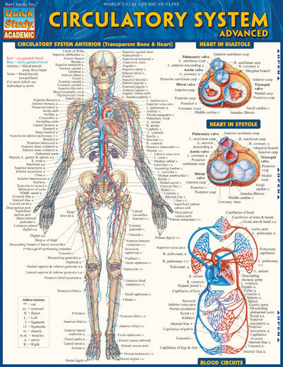 CIRCULATORY SYSTEM ADVANCED - Charles Darwin University Bookshop
