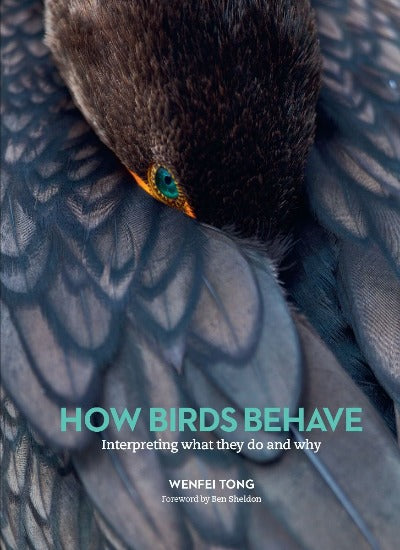 HOW BIRDS BEHAVE