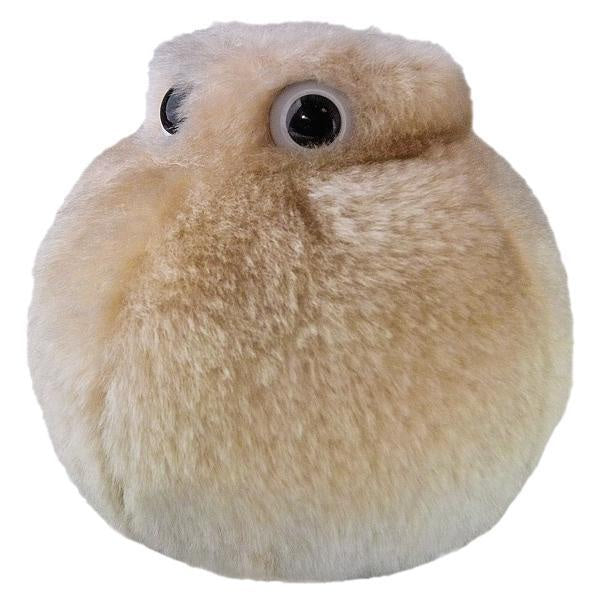 FAT CELL GIANT MICROBE