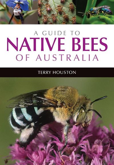 A GUIDE TO NATIVE BEES OF AUSTRALIA