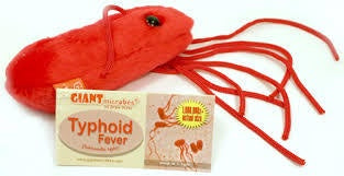 TYPHOID GIANT MICROBE