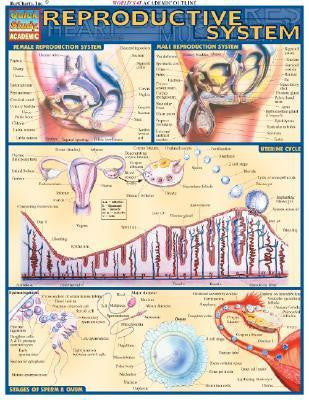 REPRODUCTIVE SYSTEM - Charles Darwin University Bookshop
