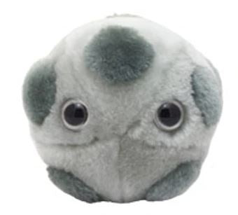 HPV GIANT MICROBE