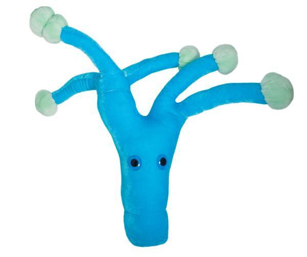 PENICILLIN GIANT MICROBE - Charles Darwin University Bookshop
