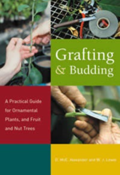 GRAFTING AND BUDDING