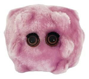 KISSING DISEASE GIANT MICROBE - Charles Darwin University Bookshop
