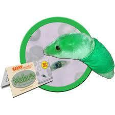MALARIA GIANT MICROBE