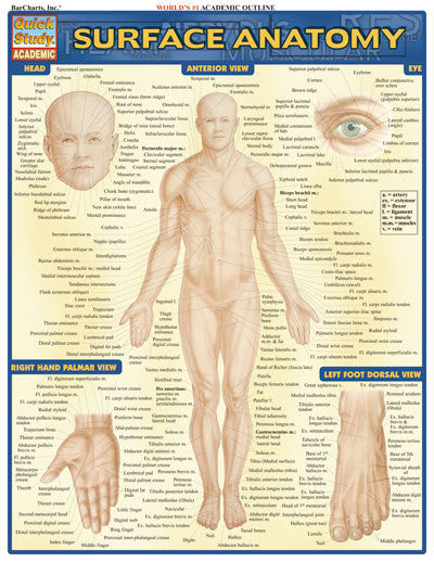 ANATOMY SURFACE - Charles Darwin University Bookshop
