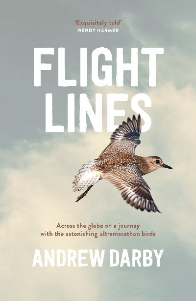 FLIGHT LINES ACROSS THE GLOBE ON A JOURNEY WITH THE ASTONISHING ULTRA MARATHON BIRDS