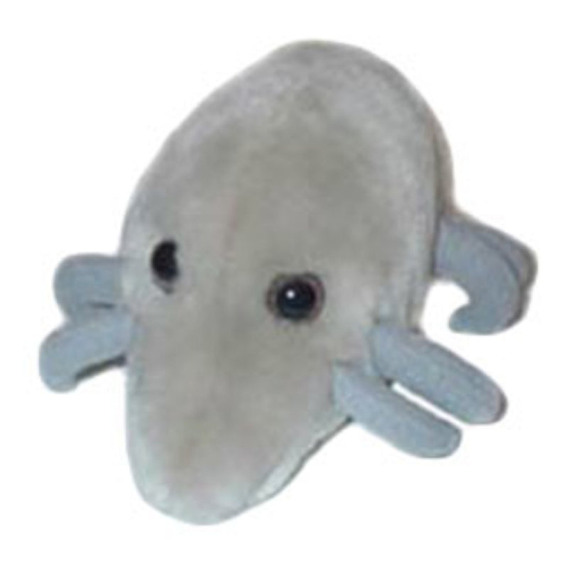DUST MITE GIANT MICROBE