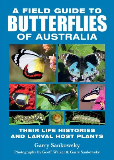 A FIELD GUIDE TO BUTTERFLIES OF AUSTRALIA