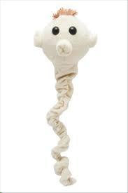 TAPEWORM GIANT MICROBE