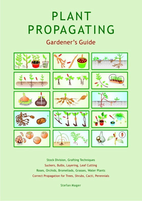 PLANT PROPAGATING