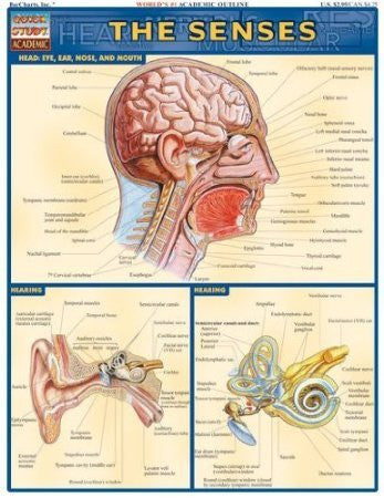 THE SENSES - Charles Darwin University Bookshop
