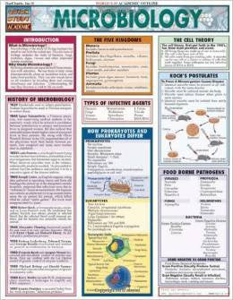 MICROBIOLOGY - Charles Darwin University Bookshop
