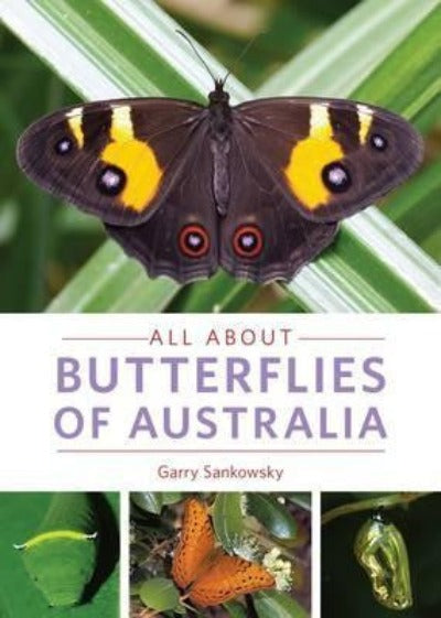 ALL ABOUT BUTTERFLIES OF AUSTRALIA - Charles Darwin University Bookshop
