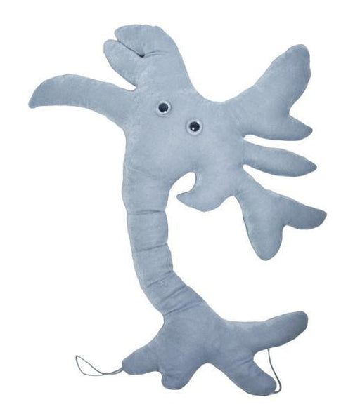 BRAIN CELL GIANT MICROBE - Charles Darwin University Bookshop
