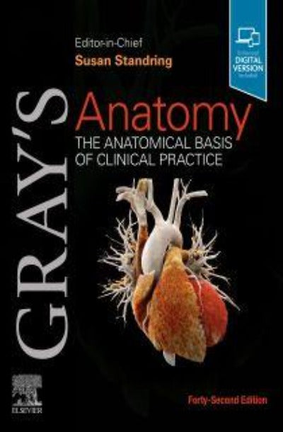 GRAY'S ANATOMY THE ANATOMICAL BASIS OF CLINICAL PRACTIC