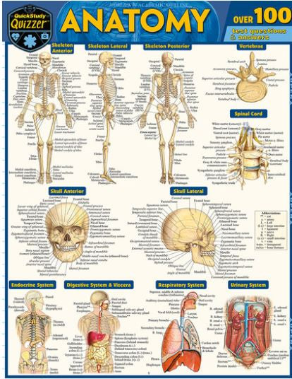 ANATOMY - TEST QUESTIONS AND ANSWERS