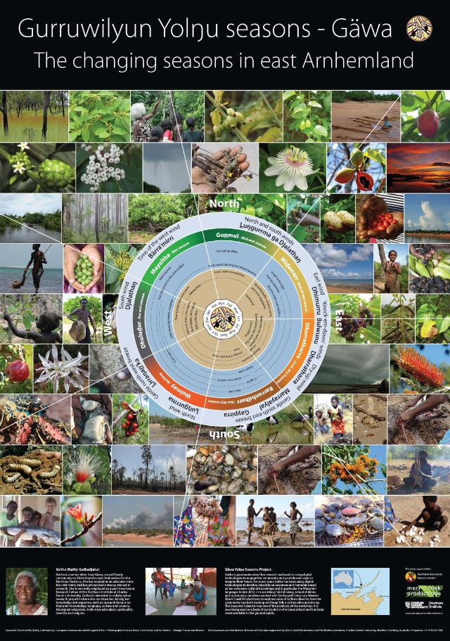 GURRUWILYUN YOLNGU SEASONS GAWA POSTER - Charles Darwin University Bookshop
