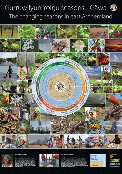 GURRUWILYUN YOLNGU SEASONS GAWA POSTER - Charles Darwin University Bookshop
