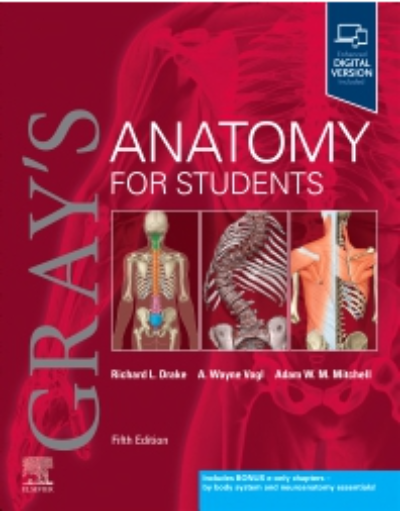 GRAY&#39;S ANATOMY FOR STUDENTS 5TH EDITION