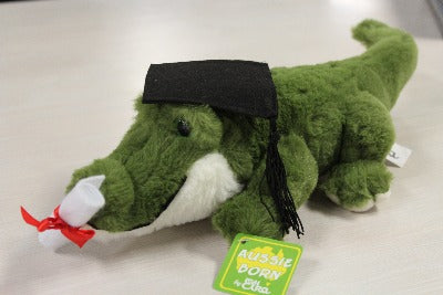 TIWI GRADUATION CROCODILE