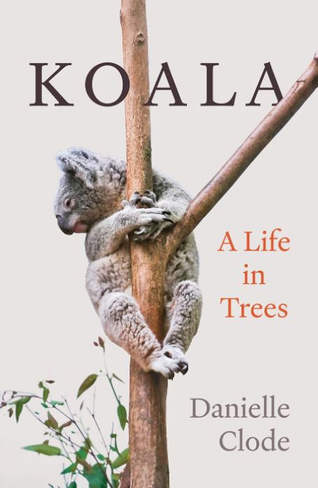 KOALA: A LIFE IN TREES